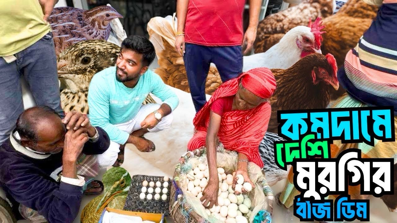 দেশি মুরগি ও কোয়েল পাখি কিনতে গিয়ে দেশি মুরগির বীজ ডিম কিনে নিয়ে আসলাম হাট থেকে । দাম কত জানুন?