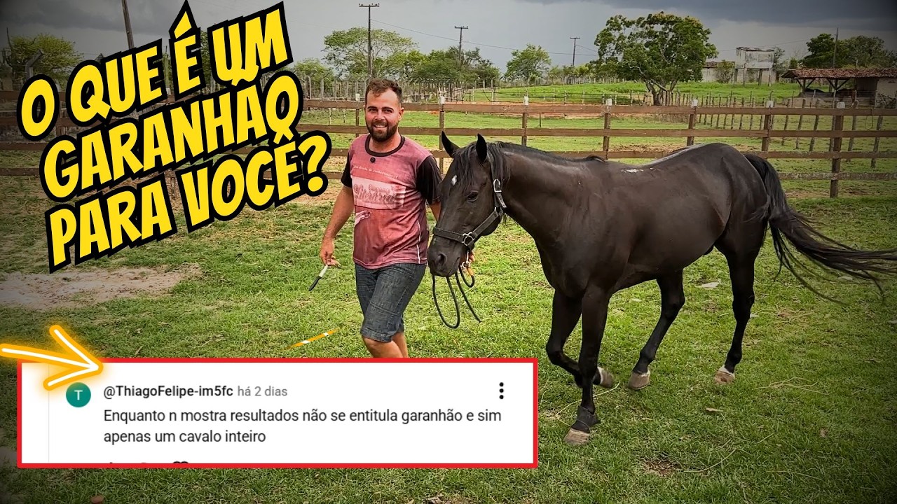 QUESTIONARAM PEPY COMO GARANH&Atilde;O!? NOSSA RESPOSTA!