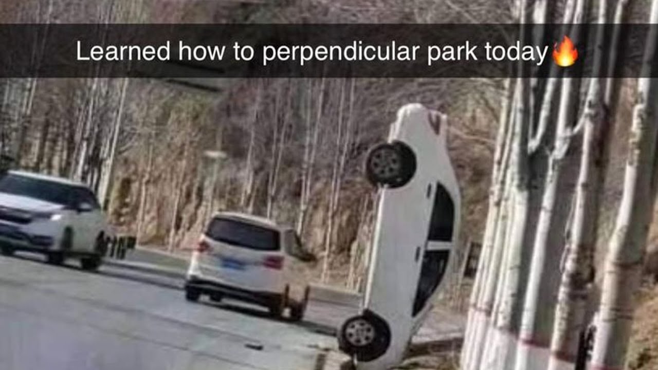 🔴 idiots laugh at idiots in cars