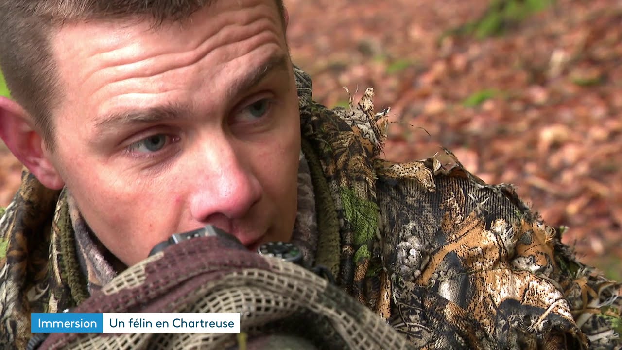Reportage sur le suivi du lynx en Chartreuse