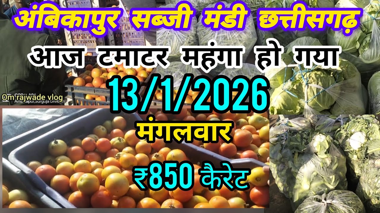 अंबिकापुर सब्जी मंडी || आज टमाटर ₹850 कैरेट बीका है | 13/1/2026 | Ambikapur sabji mandi | #ambikapur