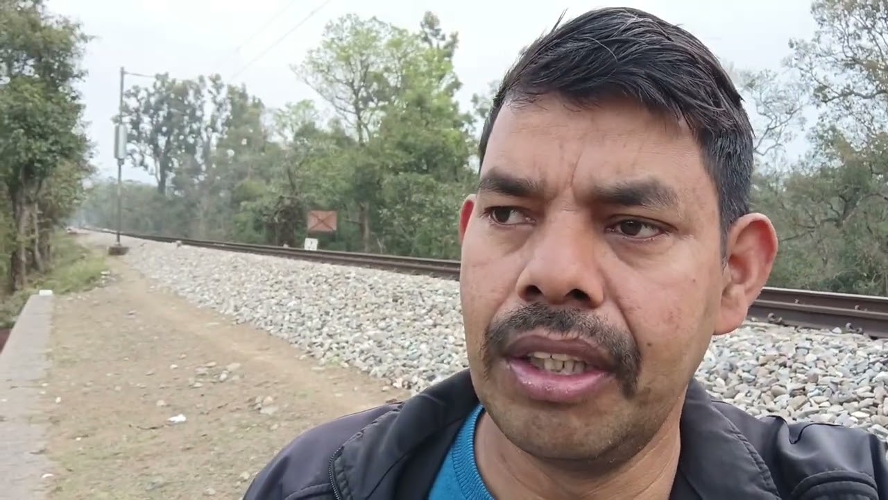 रेल पटरी के पास गुजरों की भैंस दिखी उनके के साथ कोई आदमी नहीं था l