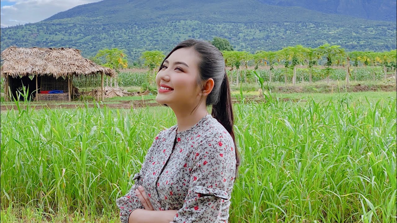 အိမ်ပြန်ချိန်ဆို ဇနီးချောလေးကကြို …🛖♥️'ရွာလည်တဲ့ဖူးစာ' Series OST Song Music Video 🎬🎵🎶