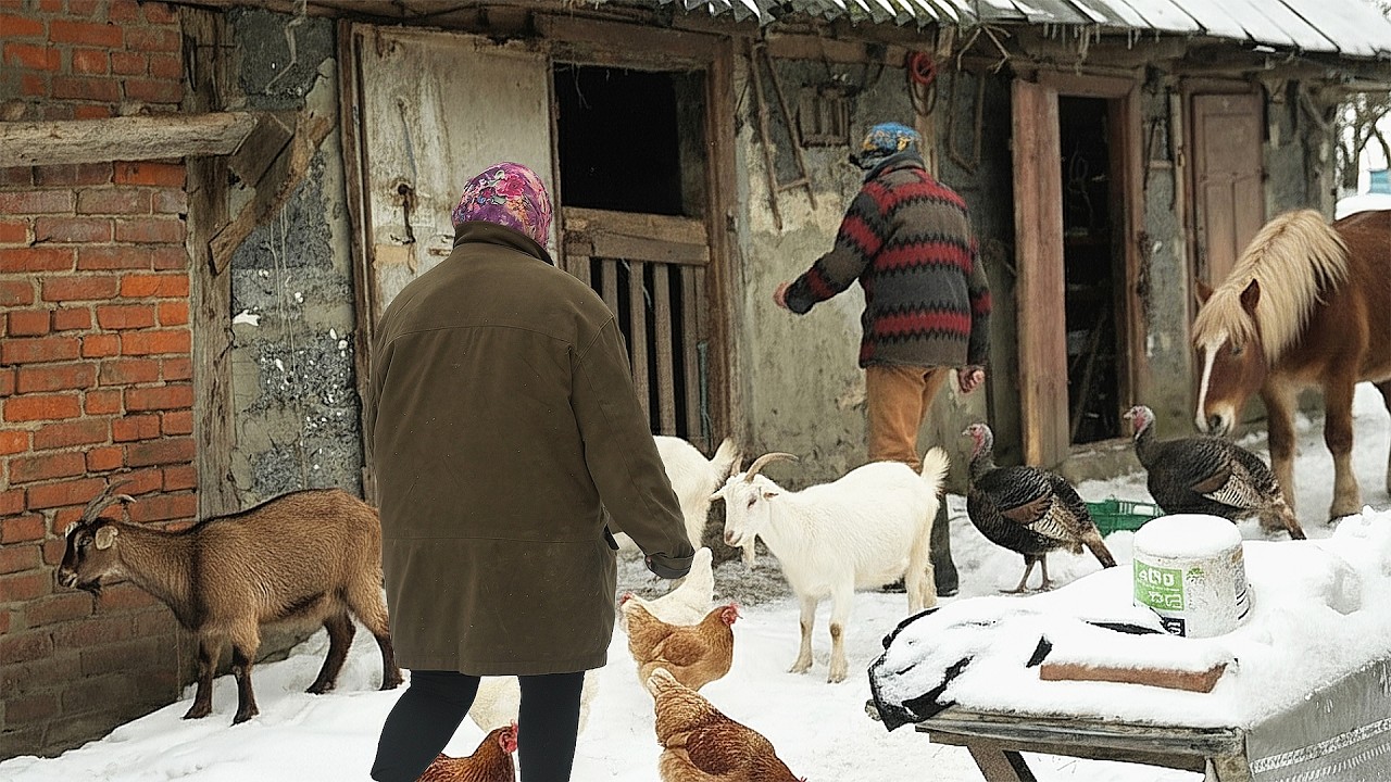 This is how we live in a remote village: winter, snowstorms, and pets!