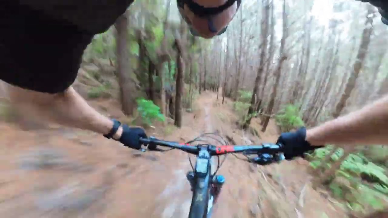 Bombadier trail - Riverhead forest 2024