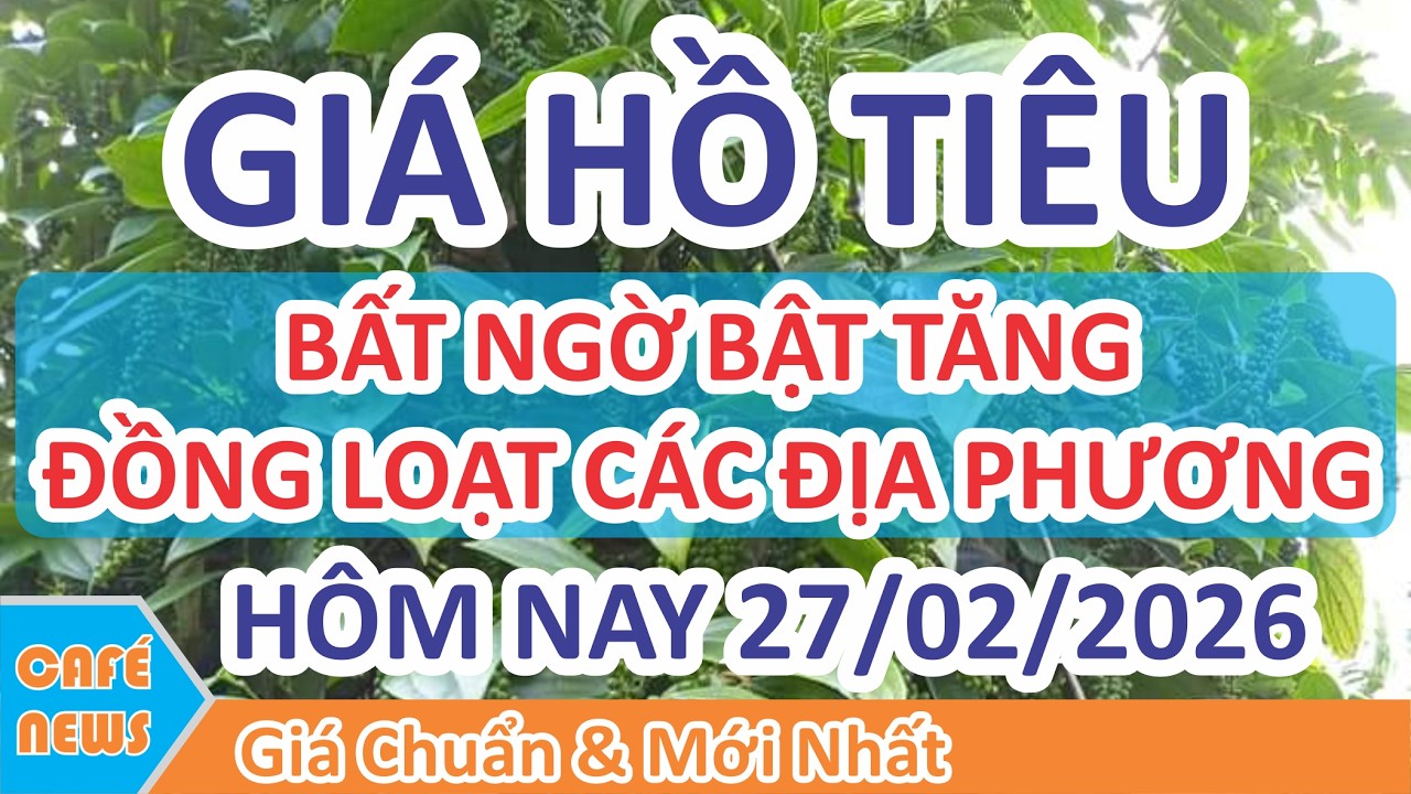 Giá hồ tiêu hôm nay ngày 27/02/2026 | Giá Tiêu Bật Tăng Các Địa Phương