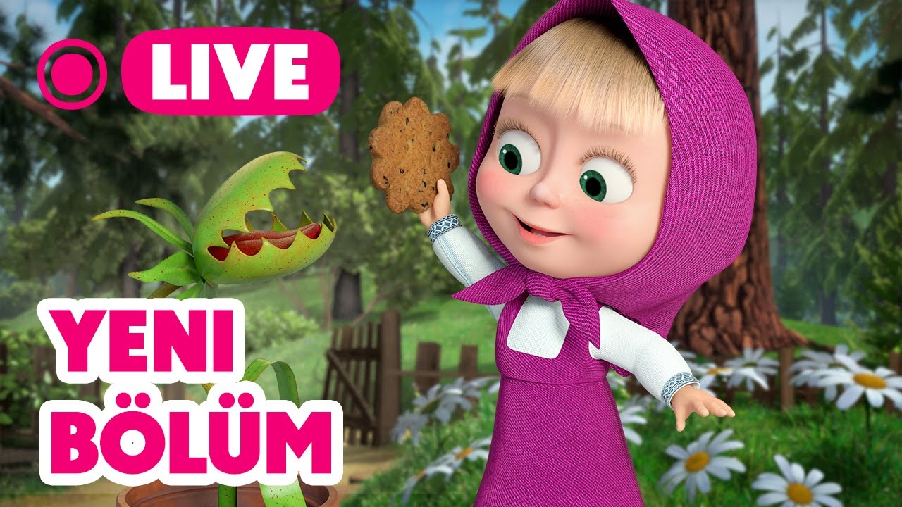 🔴 LIVE! Maşa İle Koca Ayı | 🥳 Yeni bölüm | Bitkini nasıl eğitirsin? 🪴| Masha and the Bear