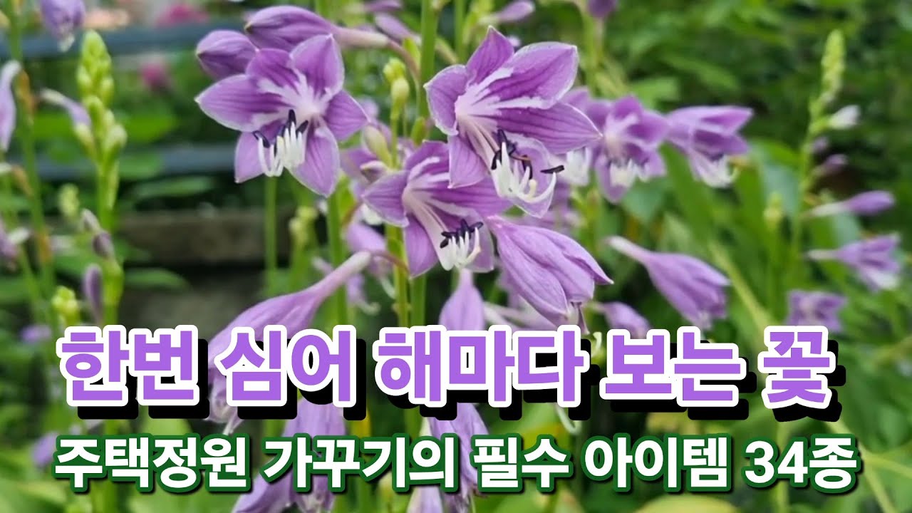 한번 심어 해마다 보는 꽃/ 갈수록 포기가 풍성해지는/ 주택정원 가꾸기의 필수 아이템 34종