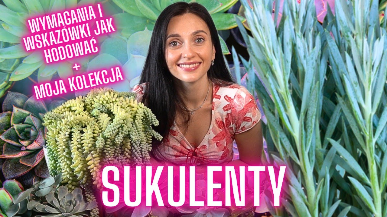 SUKULENTY🌵 Wskazówki pielęgnacyjne + moja kolekcja🌿Roślinny VLOG 🌱 Gosia i Miłosz Vlog