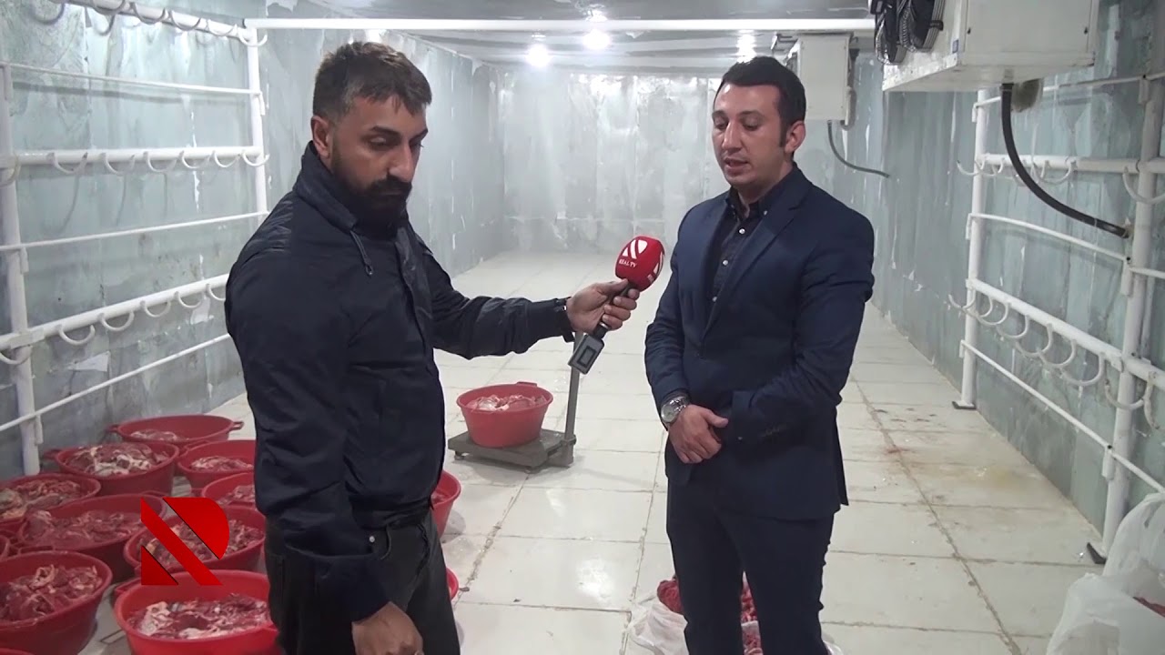 Gecə reydi: Ölü və mənşəyi bilinməyən heyvan ətı