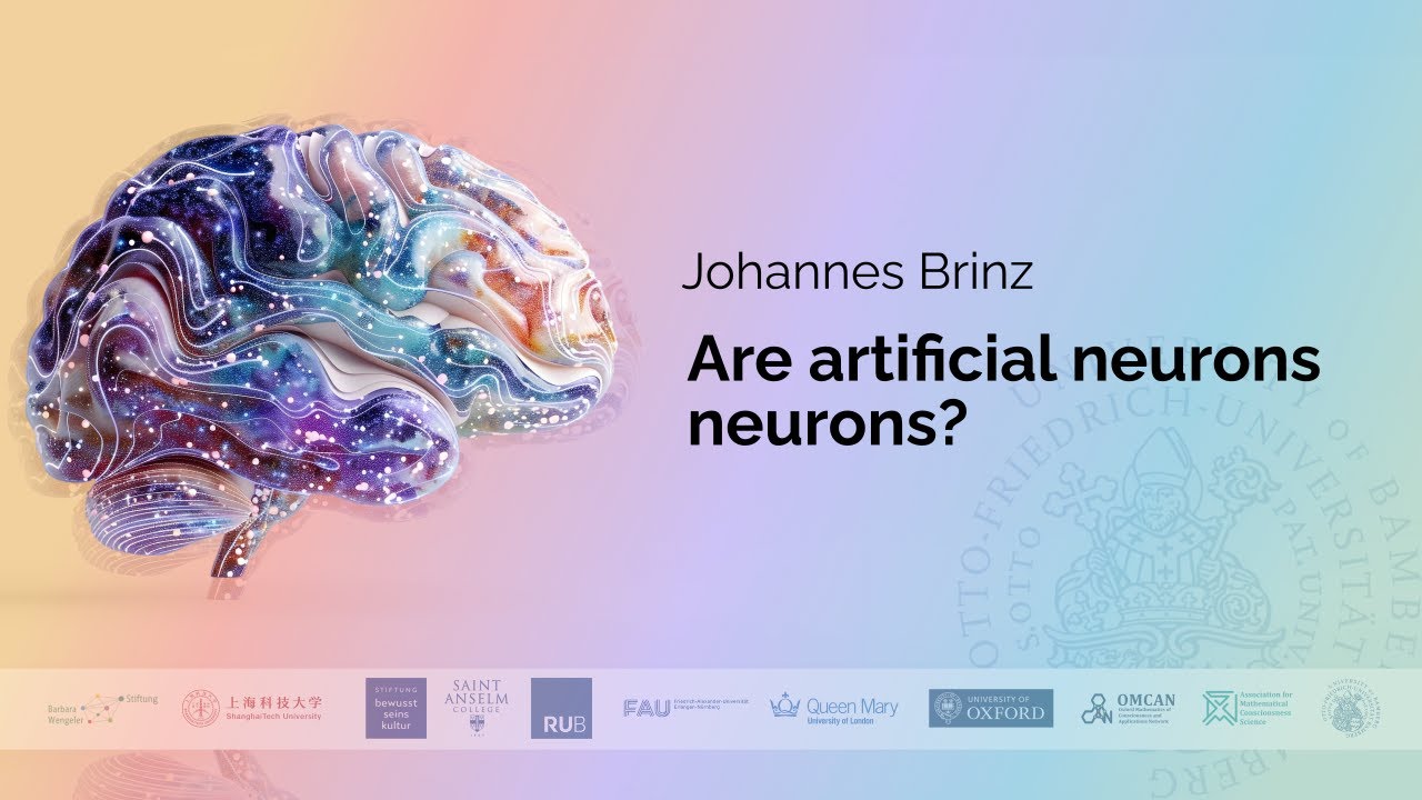 Johannes Brinz - Are artificial neurons neurons?