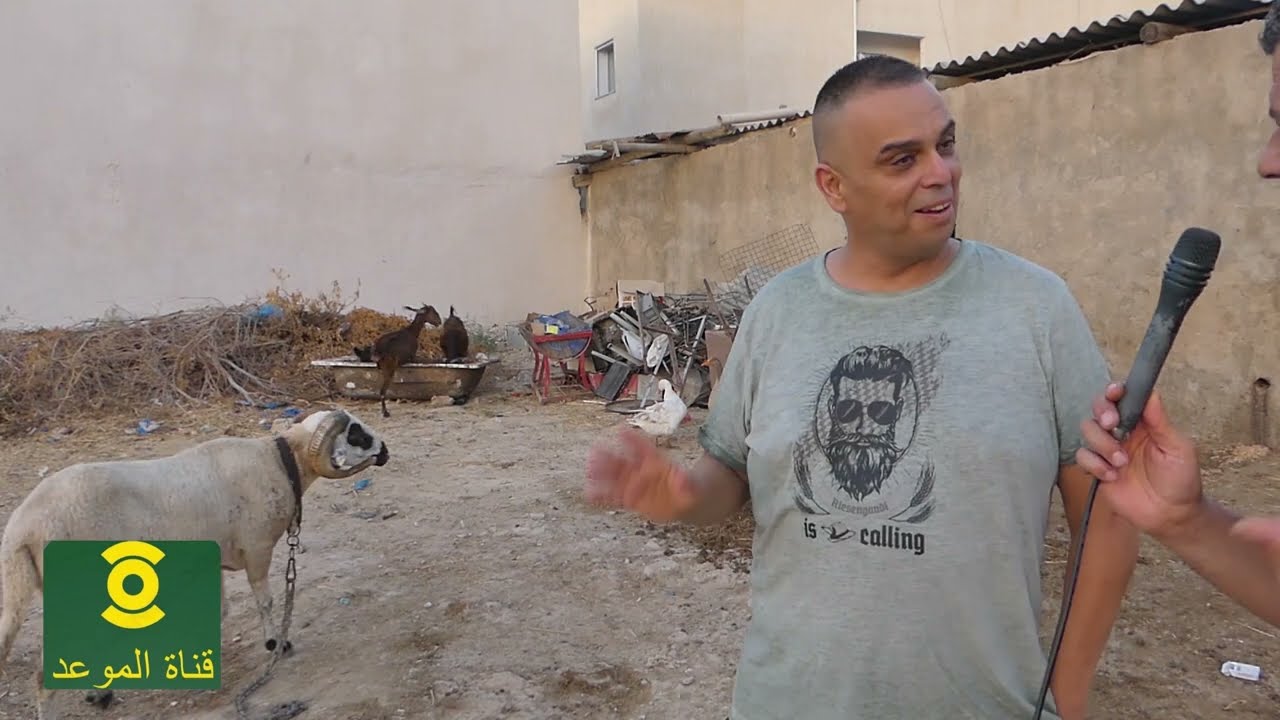أحنا و الدزرية نفهمو في لعلالش ، العلوش كي يربح يزيد السوم متاعو ، وصلت بعت العلوش بعشرة ملاين