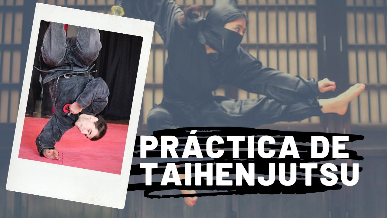 Bujinkan Budō Taijutsu: Taihenjutsu 体変術