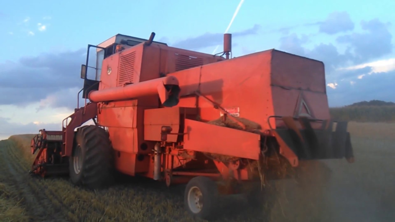 Żniwa 2017 Bizon zo56x2 U-R-S-U-S C-385A