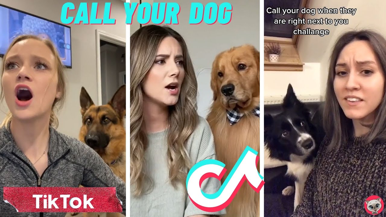Call Your Dog's Name When They're Right Next To You 🐶 TikTok Compilation