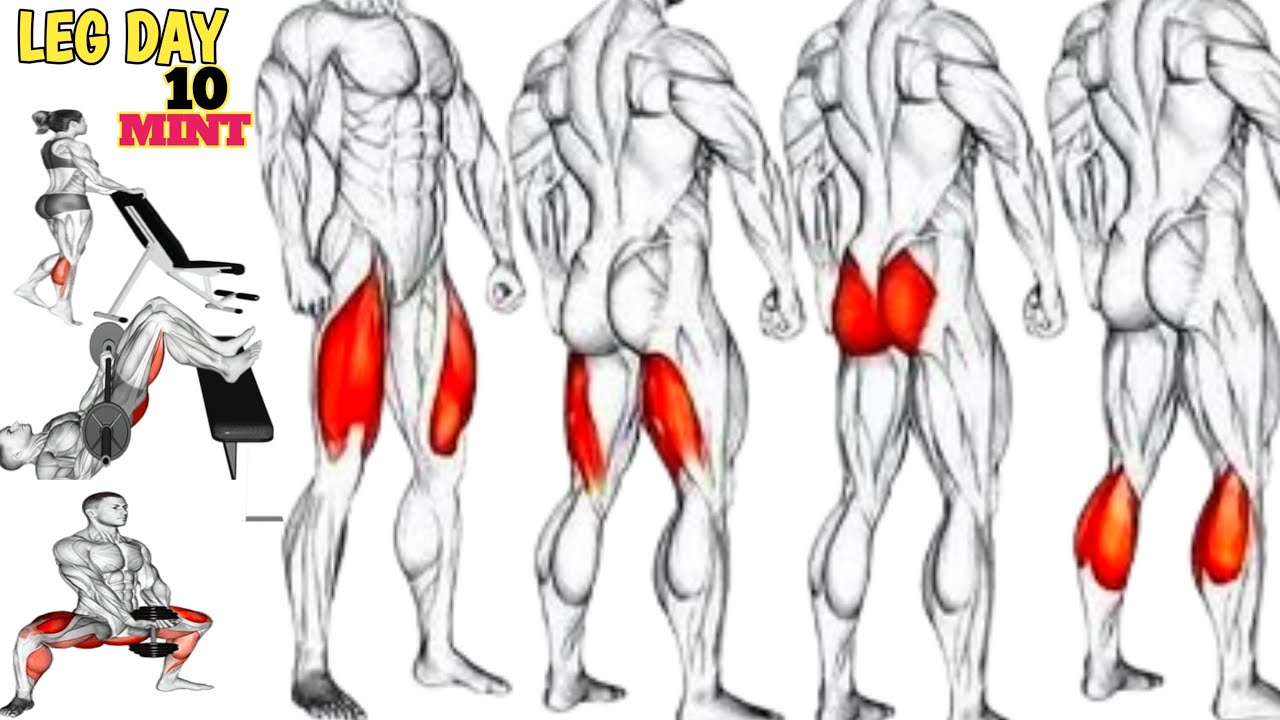 10-Minute Killer Leg Workout For Strong Toned Legs ! 🍑💪🏻