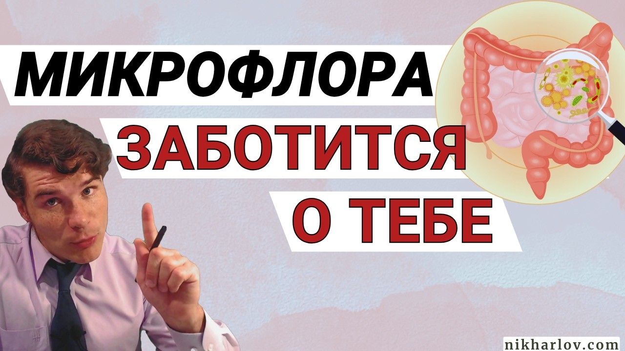 Шокирующее открытие: роль микрофлоры кишечника в болезнях. Как микробиом заботится о человеке.