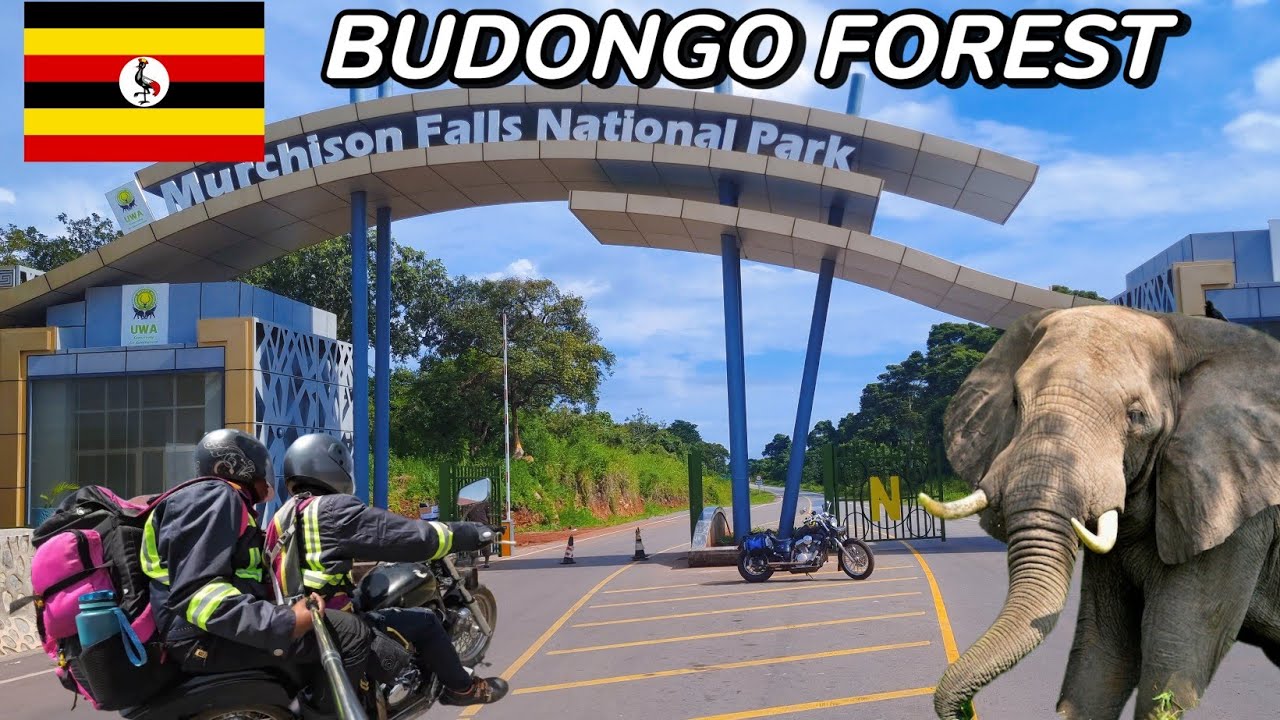 Riding MOTORCYCLE Through Murhison FALLS National Park (Ep1)🇺🇬