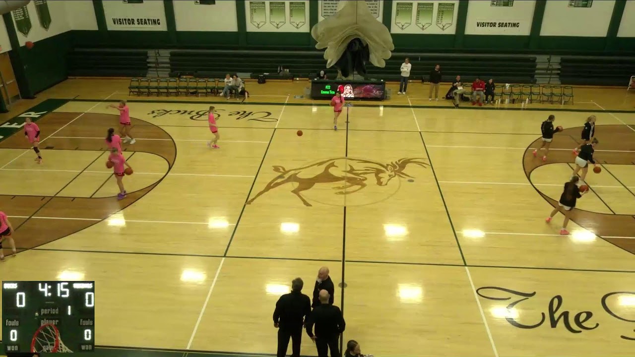 Pine River High School vs Whitehall High School Womens JV Basketball