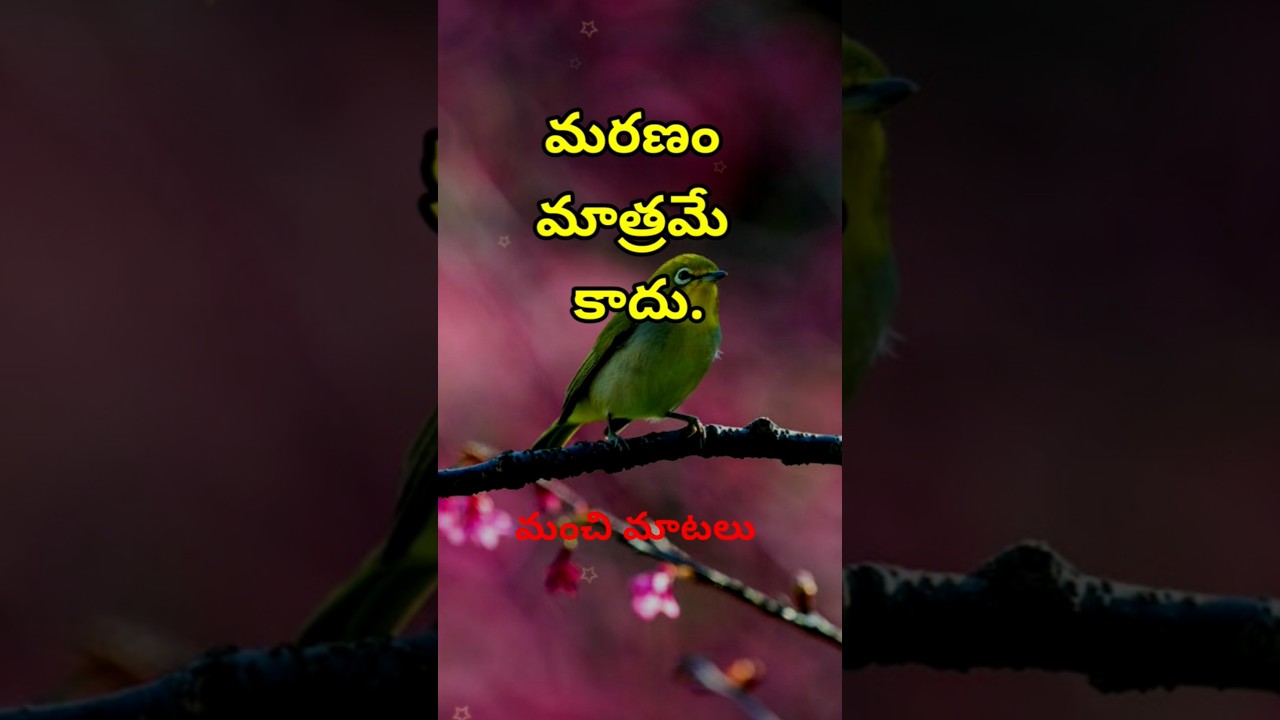 Neethi vakyalu #3069 | quotations | jeevitha satyalu | telugu sukthulu | manchi matalu | top matalu