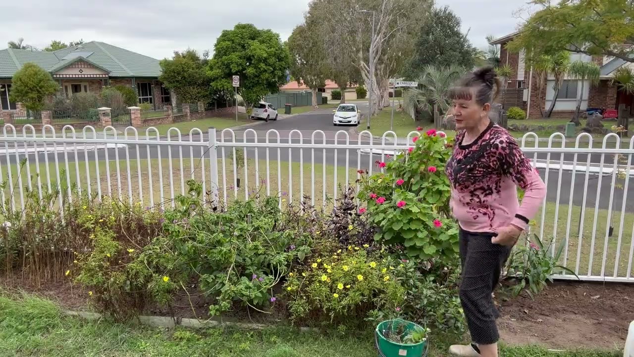 AUSTRALIA -  Ogródek z przodu domu.  Polowa zrobiona.  Sadze słoneczniki.