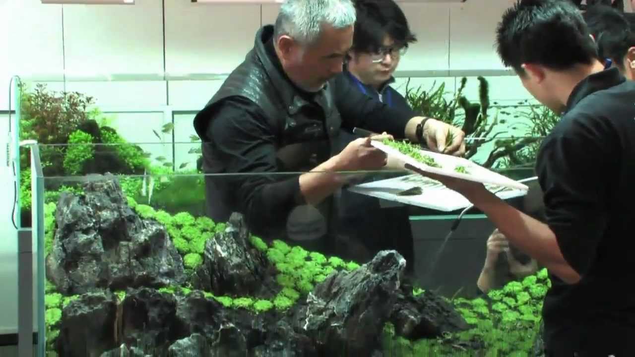 TAKASHI AMANO LAYOUT SEMINAR A 180cm aquarium tank No.2.2012.02.22