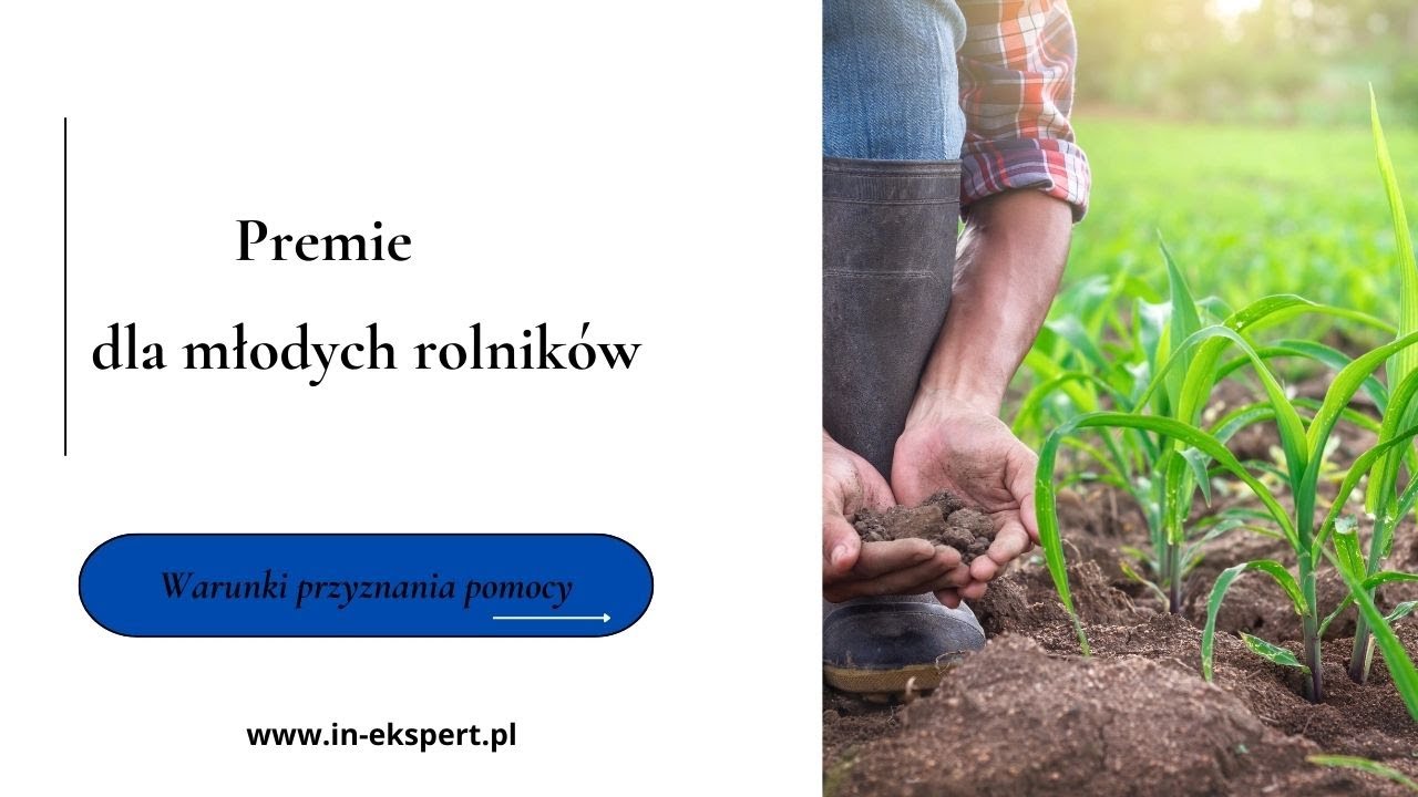 Premia dla młodych rolników 2025 - warunki przyznania pomocy