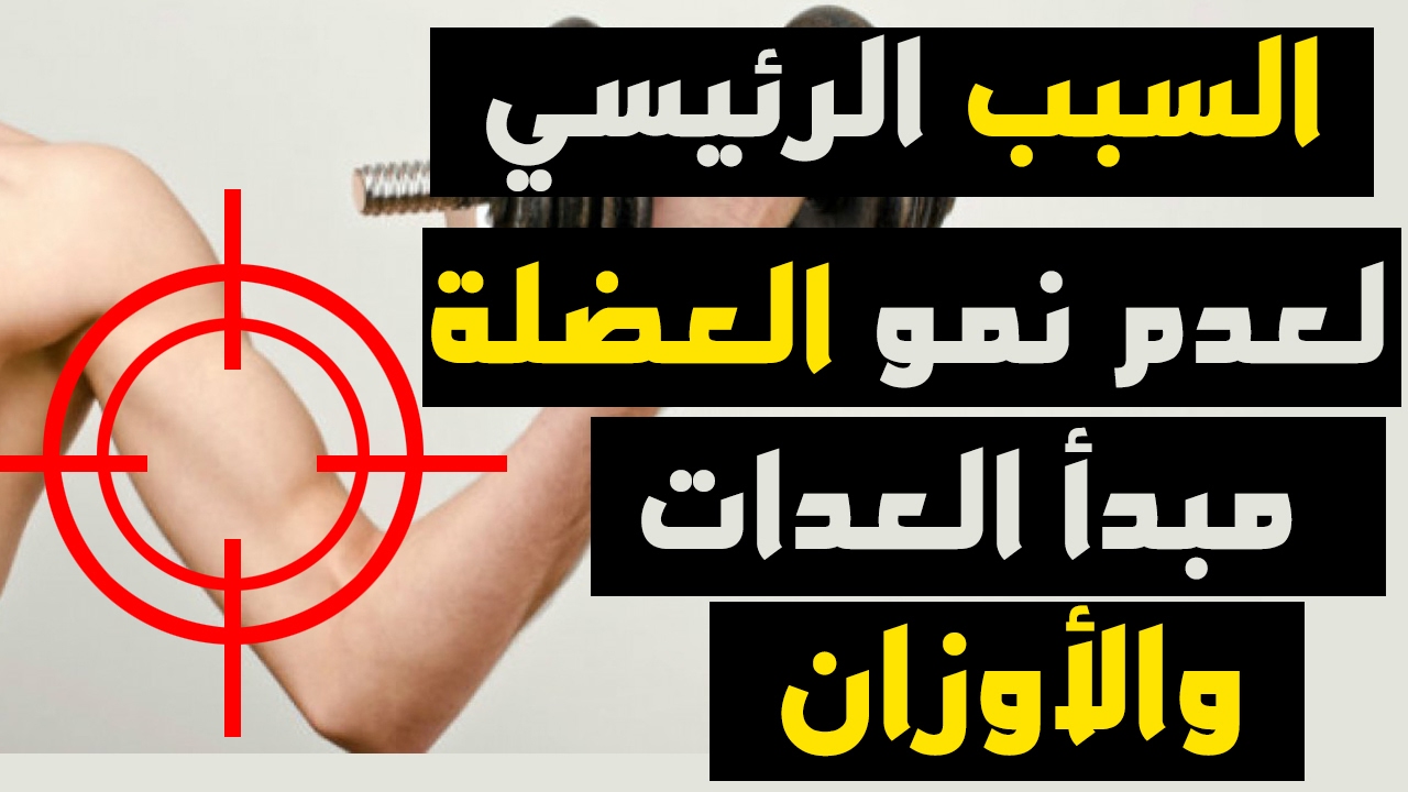 السر في تضخيم العضلة l كيف افهم العدات والوزن المناسبين - كيف اضخم