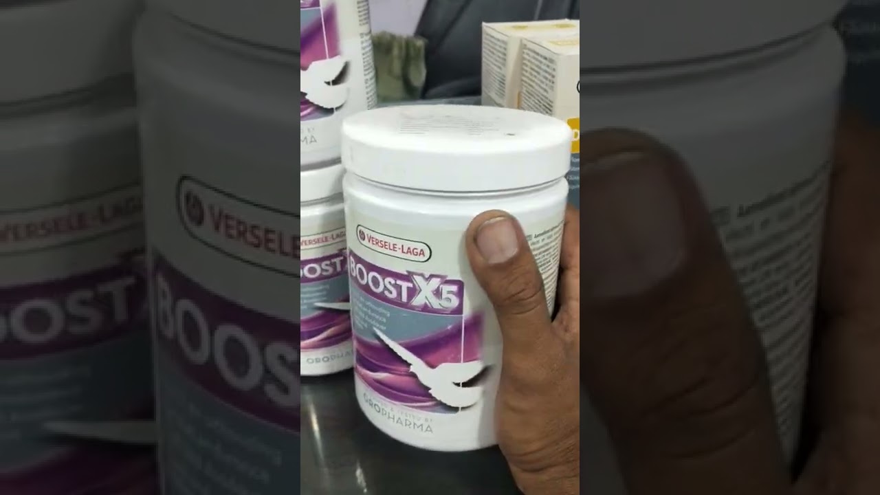 versele laga pigeon products specially  made for Pigeons made in Belgium