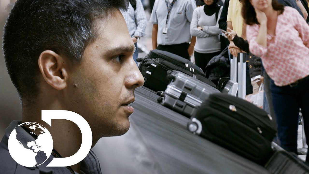 As malas estão desaparecendo! | Aeroporto: Área Restrita | Discovery Brasil