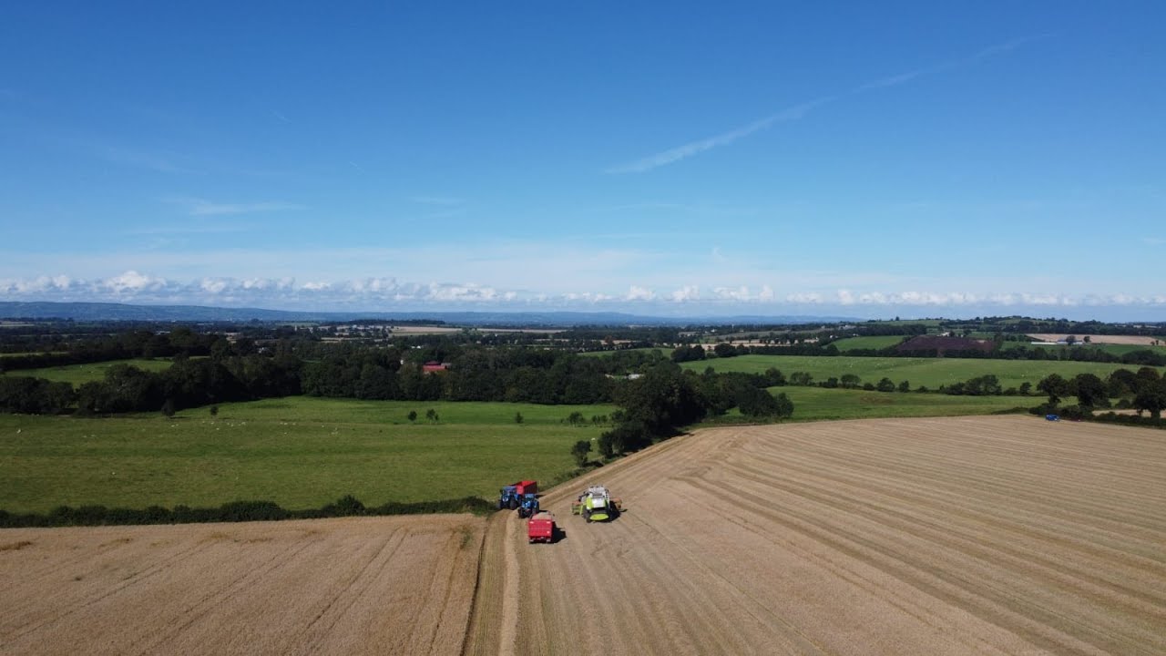 Tullow Harvest 2020