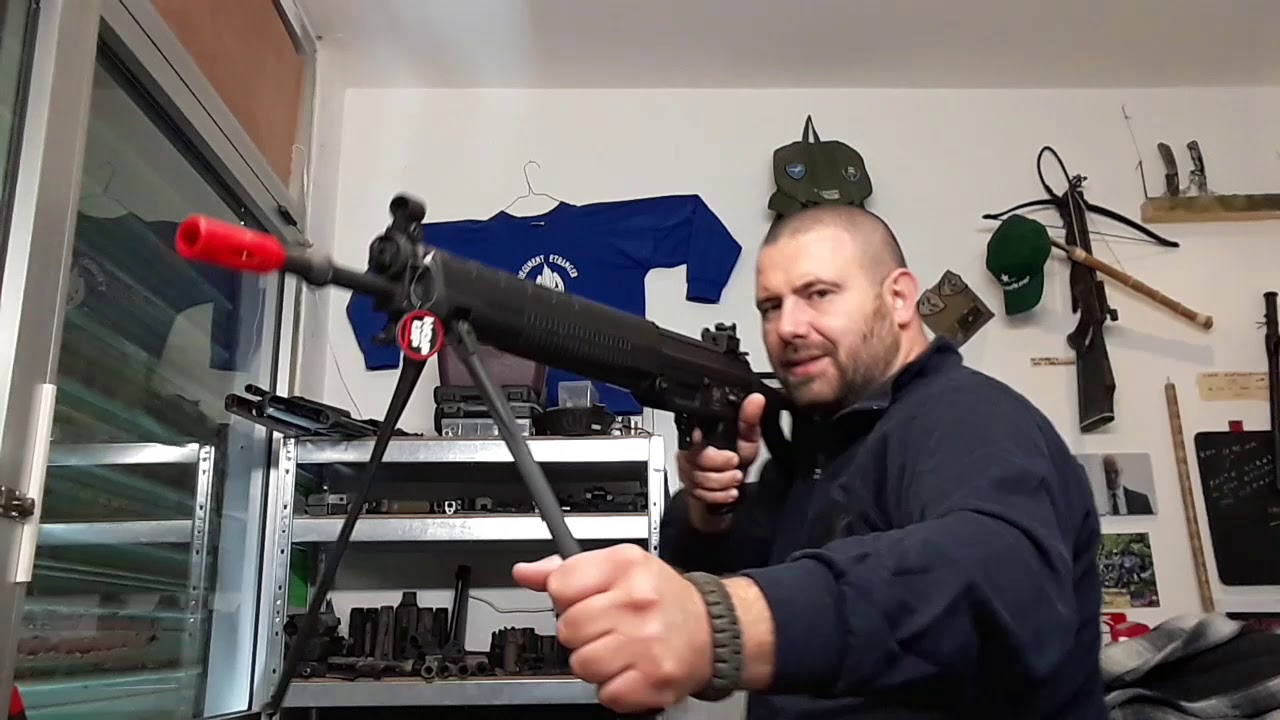 SIG 550