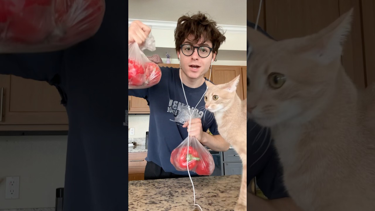 Making paprika from scratch