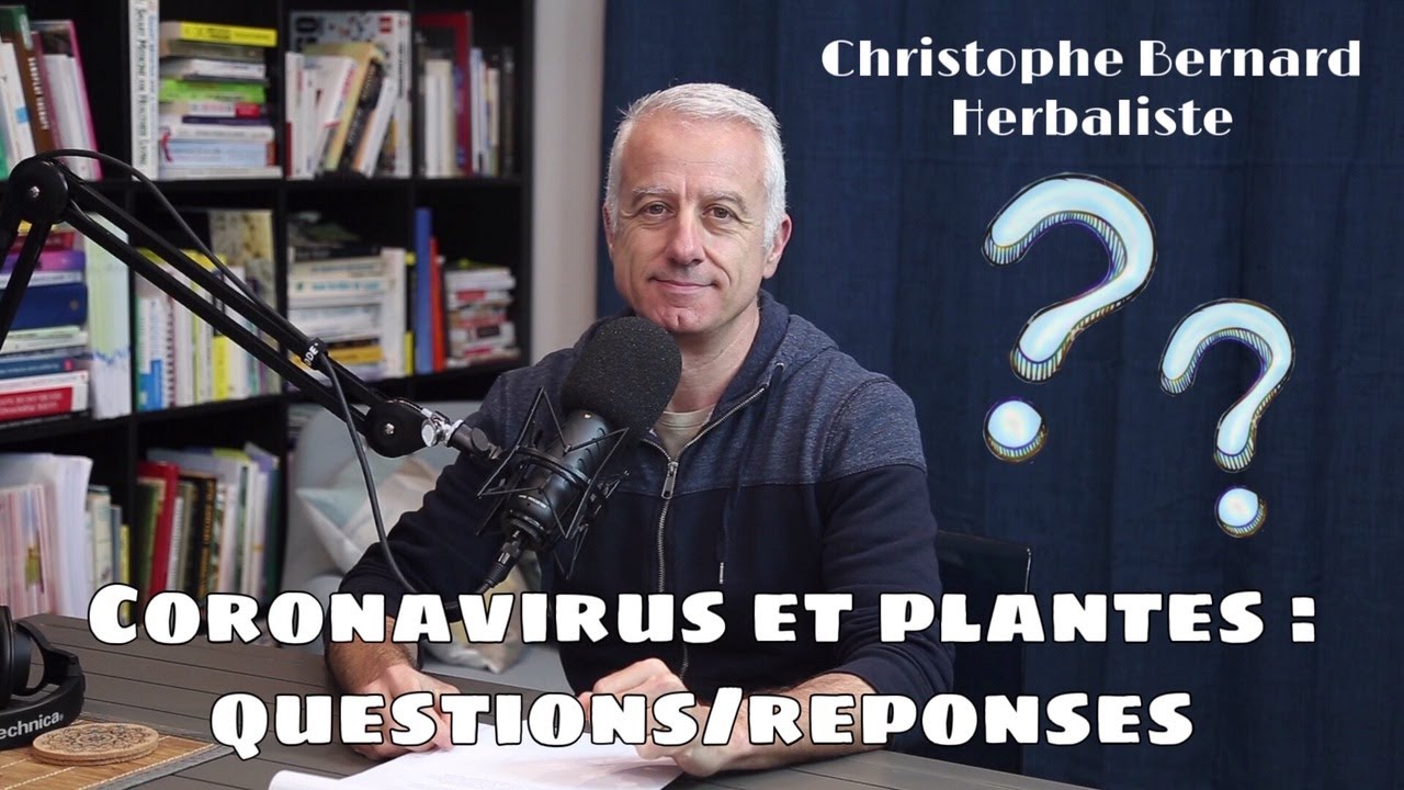 Covid-19 et plantes – QR1 – Armoise annuelle, Quinquina et Sureau