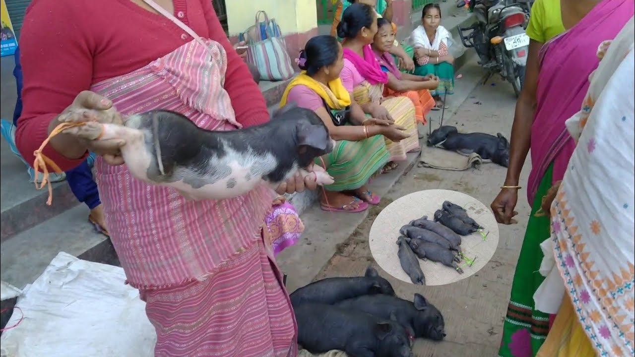 Kokrajhar Sunday Market