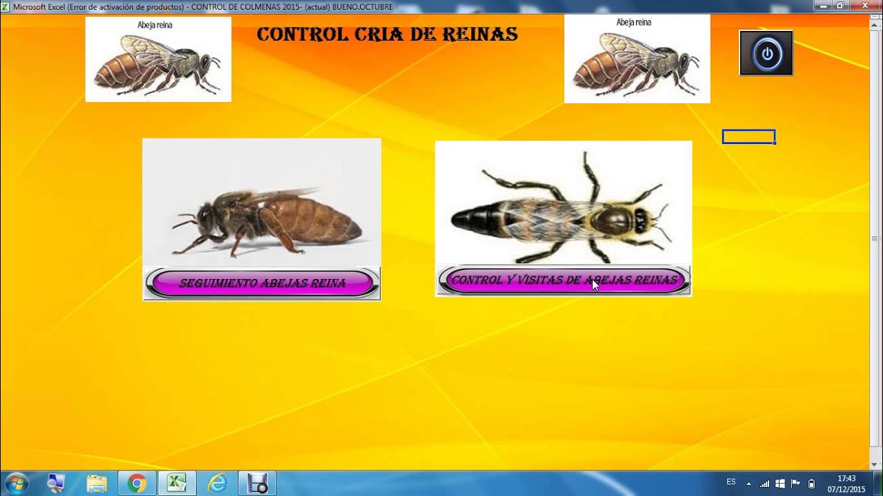 Programa Apicultura API-LLANDRES  con Cria de Reinas