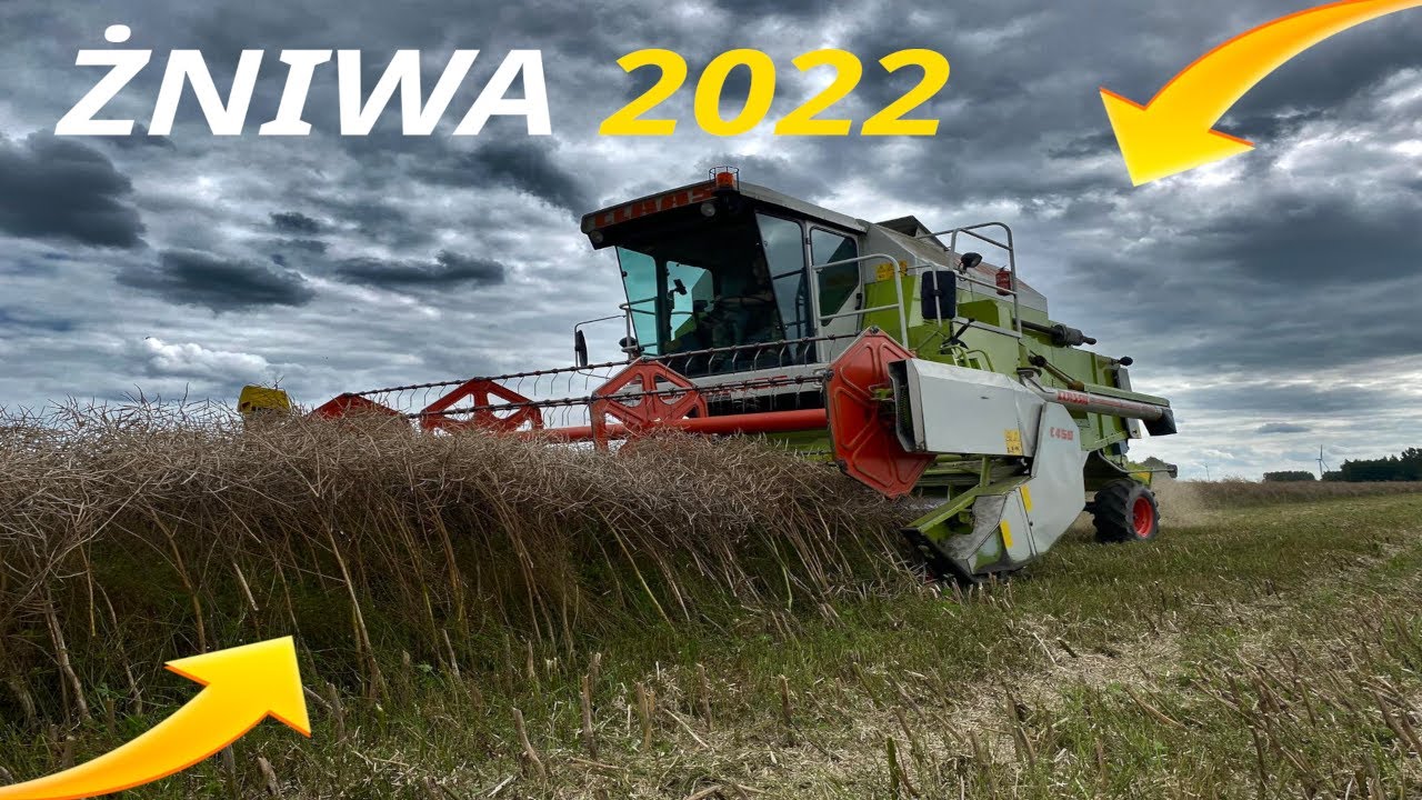 !🔥Żniwa Rzepaku 2022🔥!/CLAAS DOMINATOR 78SL\🔥🔥