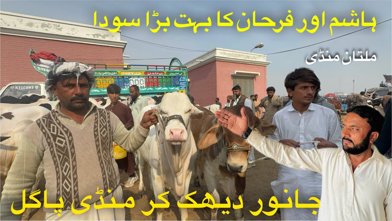 Hashim or Farhan Ka sab sy Bara Soda Janwer Dakh Kr Mandi Pagal-Multan Mandi 😳7 December 2025