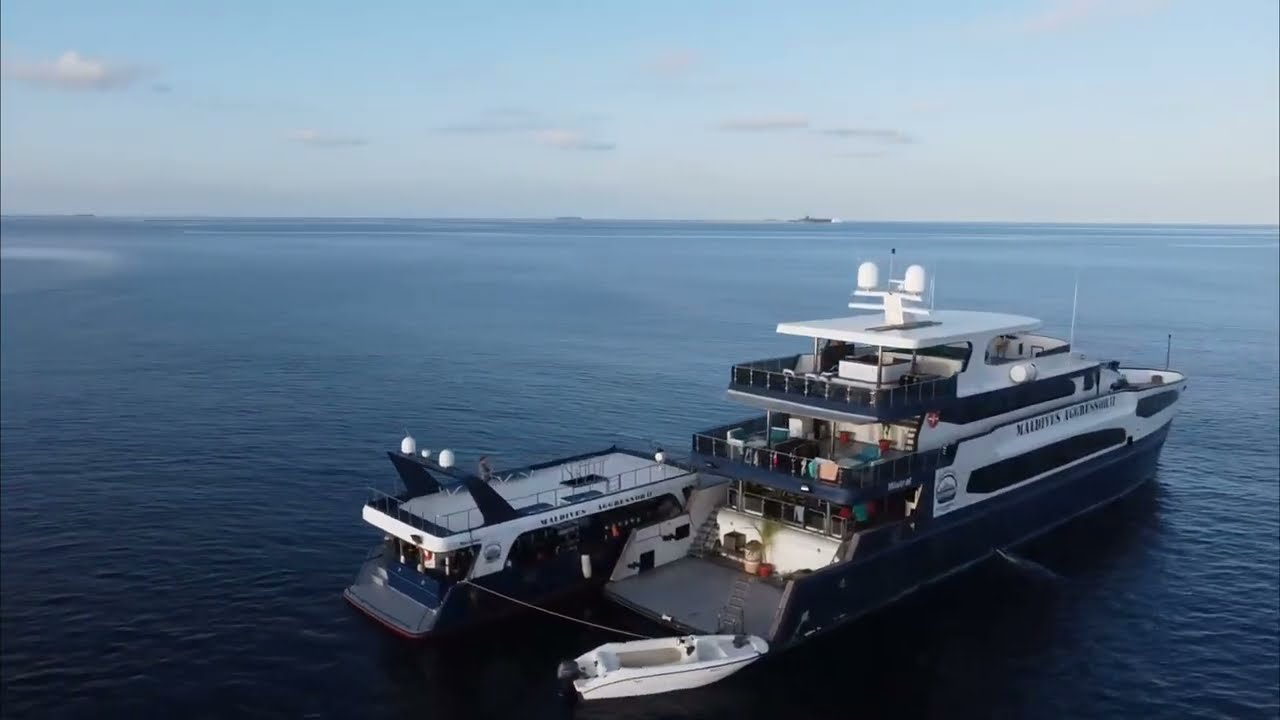 Machchafushi Wreck Dive In Maldives