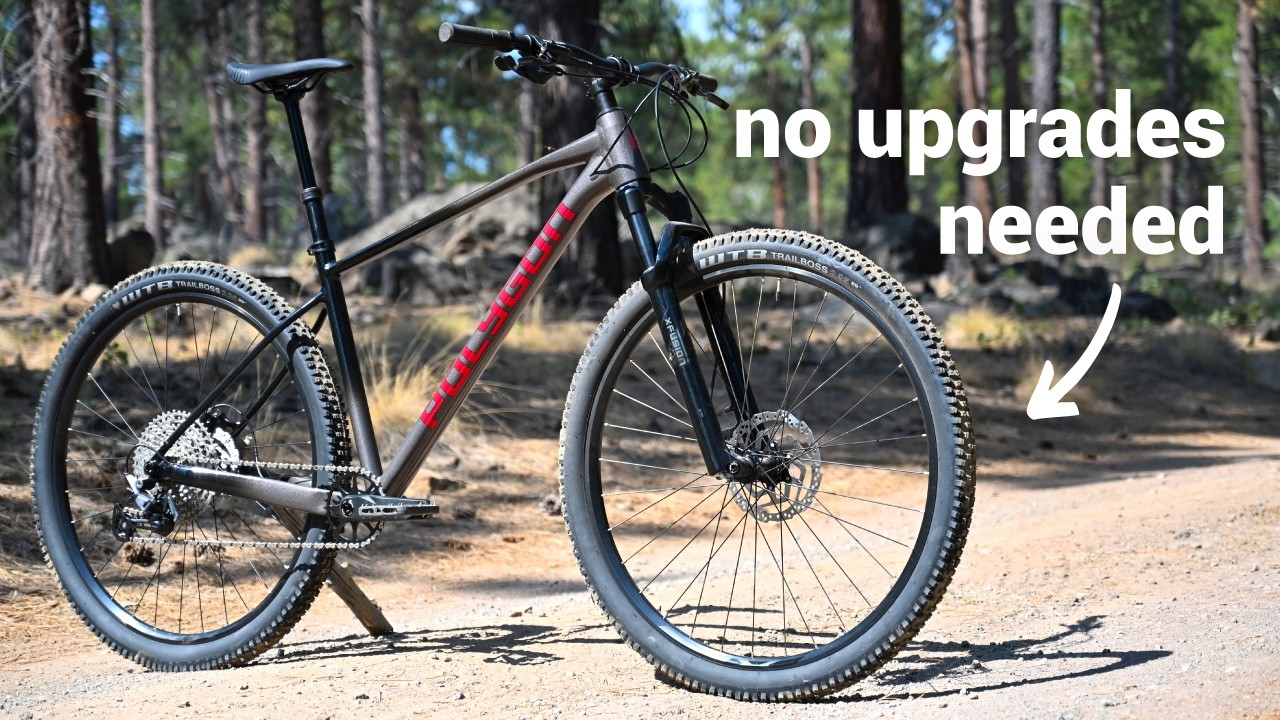 Do You Really Need to Spend More Than $1,000 on a Mountain Bike?