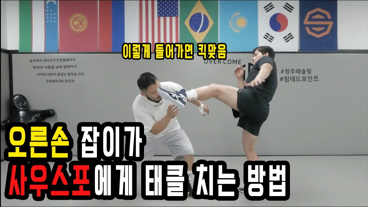 mma에서 레슬링 기술 사용방법 2 (사우스포에게 태클들어가는 방법)