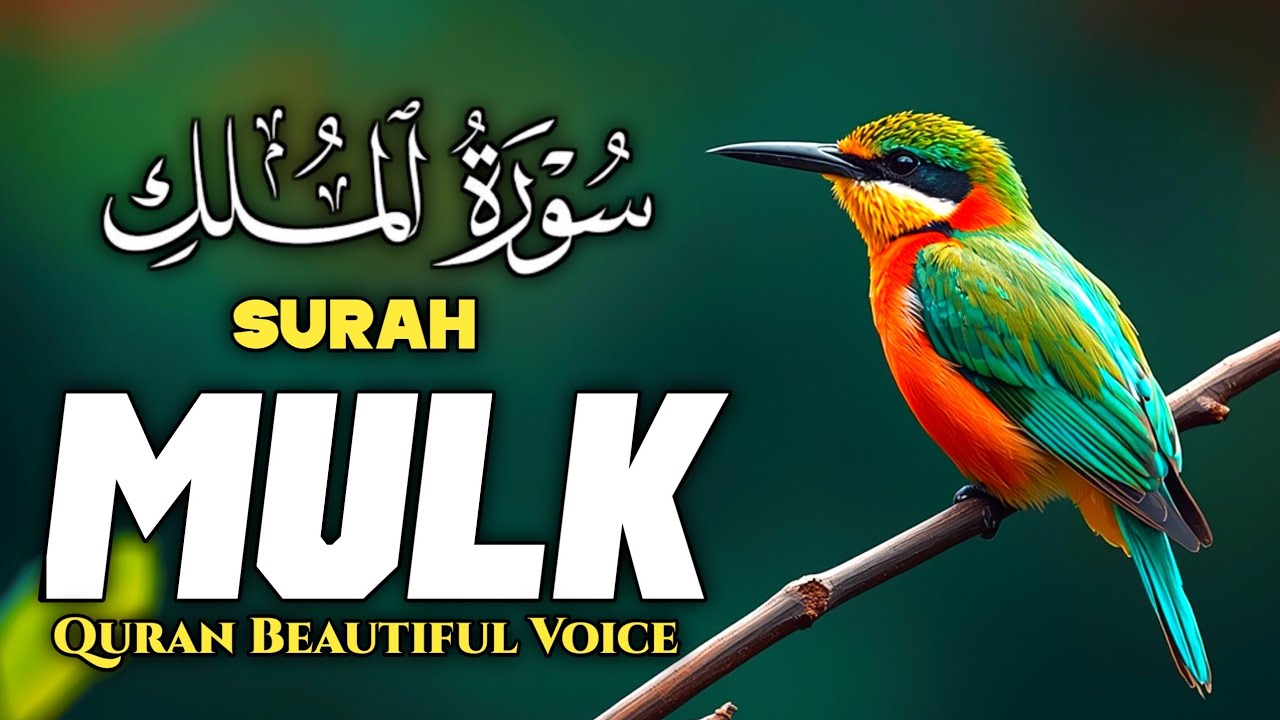 Surah Mulk Full | Surah Al Mulk Tilawat | Beautiful Quran Recitation | Surah Mulk for Sleep