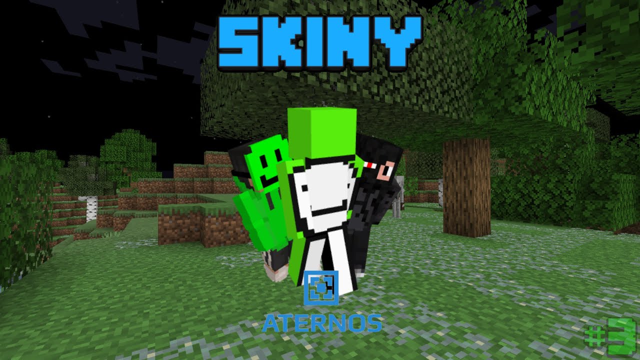 Od komendy do legendy 🛠️ #3 – Jak mieć skiny na Aternos?