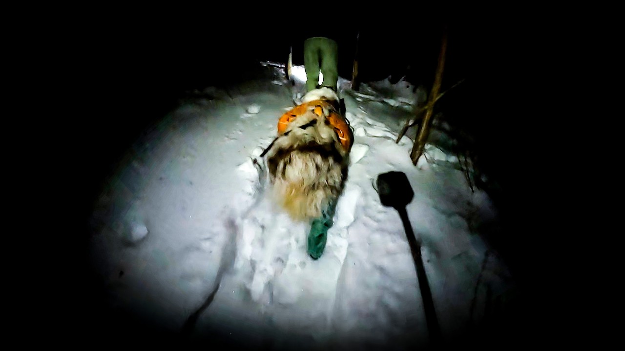 A night time snow shoe through Borderland State Park in Massachusetts.