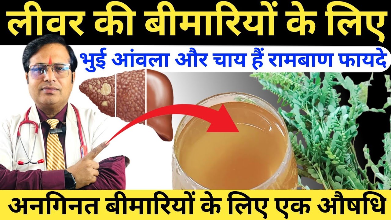 लीवर की बीमारियों के लिए भुई आंवला चाय || लिवर की सूजन के लिए भुई आंवला है रामबाण || Bhumi Amla Bene