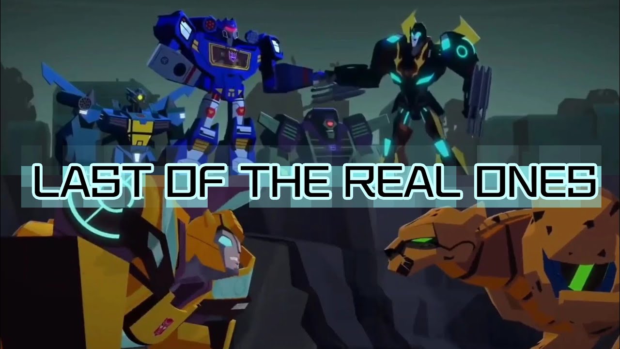last of the real ones (beetor & soundrod amv)