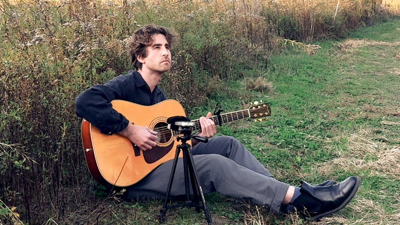 Autumn Guitar Meditations in the Field (1 HR) | No AI 🌿 Healing Guitar Music – 