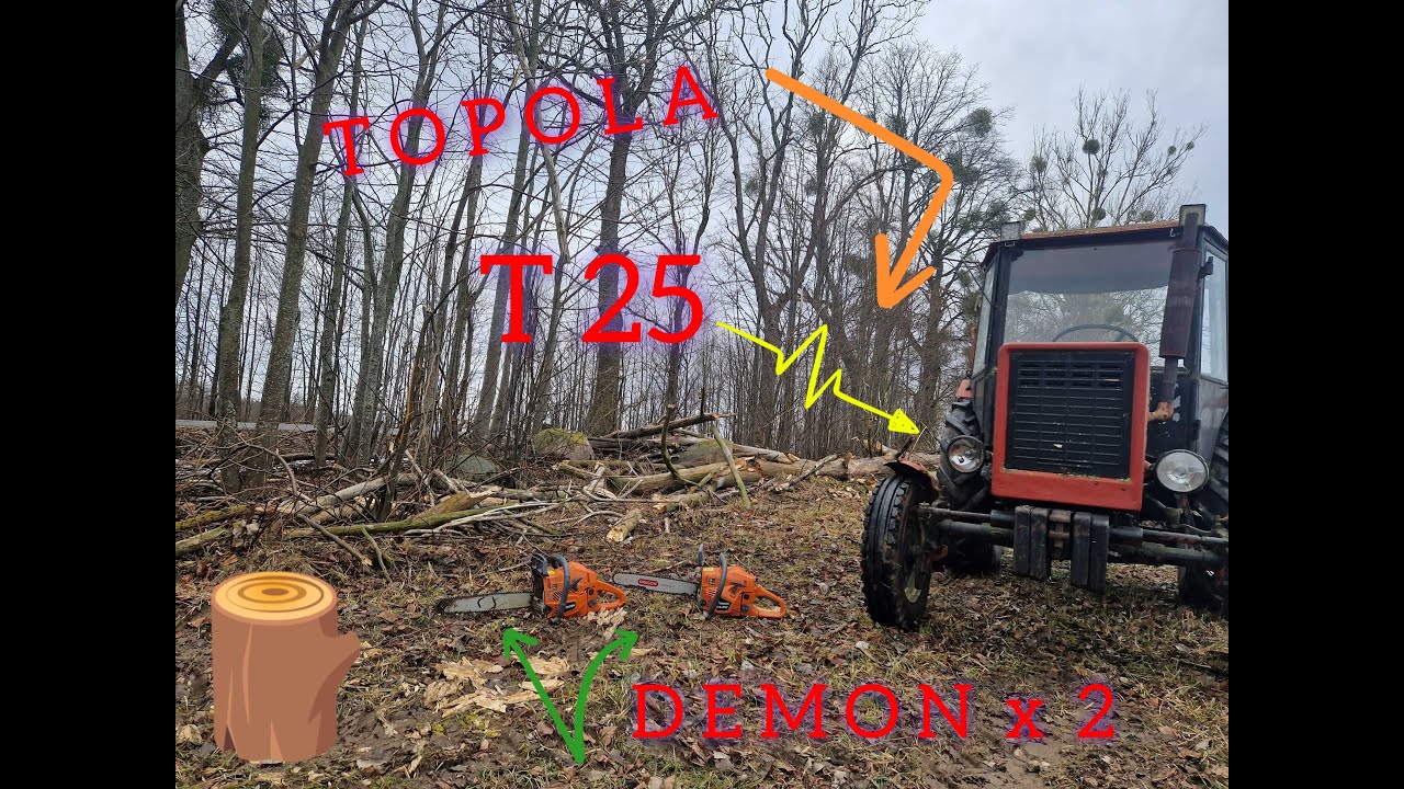 Jedziemy po drewno. Topola, DEMON CS-65 i CS-58T oraz Władimirec T25