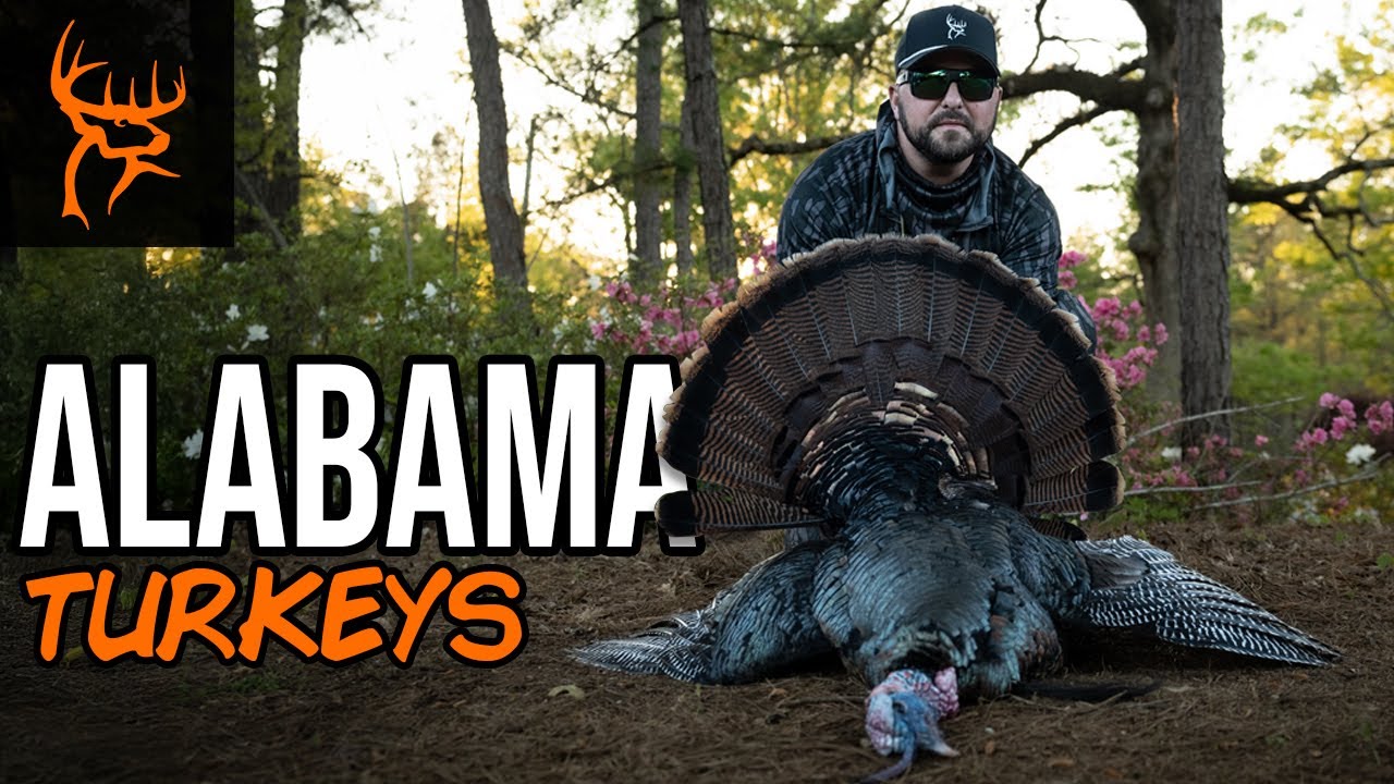 ALABAMA TURKEY with T-FARR | Buck Commander