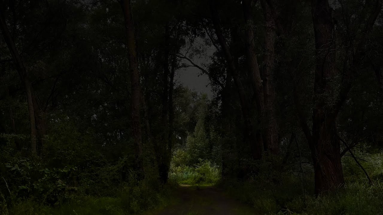 Forest Road Thunderstorm | On Your Way Home From a Hike | Calm Before the Storm | 3 HOURS